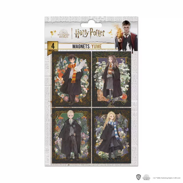 Magnet Harry Potter - Portraits (4 ks)