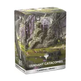 Ochranné obaly na karty Dragon Shield - Landfall Series - Matte Dual Sleeves Verdant Catacombs (100 ks)
