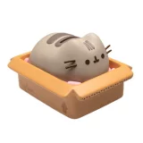 Pokladnička Pusheen - Package