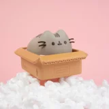 Pokladnička Pusheen - Package