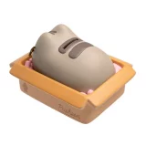 Pokladnička Pusheen - Package