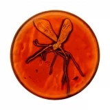 Sběratelský set Jurassic Park - Limited Edition (medailon. odznak)