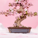 Stavebnice - Sakura Bonsai (dřevěná)