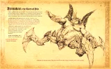 Kniha Diablo Bestiary - The Book of Adria