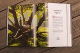 Kniha The Art of Kingdom Come: Deliverance II [EN]