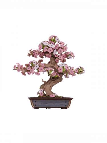 Stavebnice - Sakura Bonsai (dřevěná)
