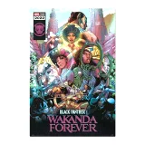 Plakát Marvel: Black Panther: Wakanda Forever - Comic