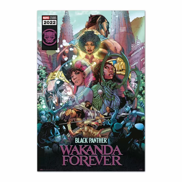 Plakát Marvel: Black Panther: Wakanda Forever - Comic