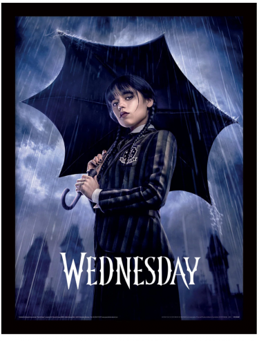 Zarámovaný plakát Wednesday - Downpour