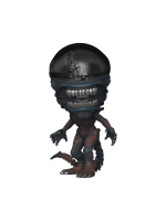 Figurka Alien: Romulus - Scorched Xenomorph (Funko POP! Movies 1617)