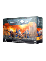 W40k: Space Marines - Bladeguard Veterans (3 figurky)