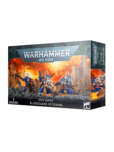W40k: Space Marines - Bladeguard Veterans (3 figurky)
