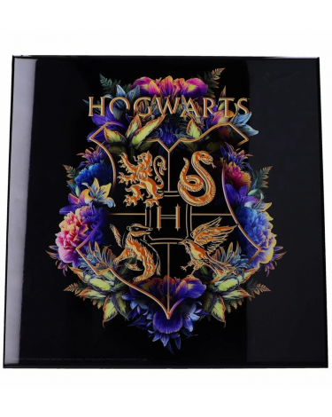 Obraz Harry Potter - Hogwarts Fine Oddities Crystal Clear Art Pictures (Nemesis Now)