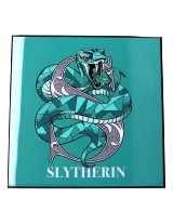 Obraz Harry Potter - Slytherin Crystal Clear Art Pictures (Nemesis Now)