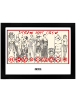 Zarámovaný plakát One Piece - Straw Hat Crew